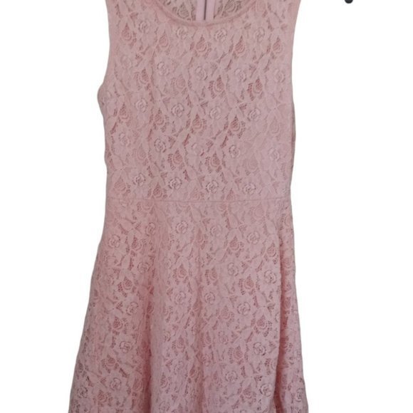 Tea n Rose Womens Pink Lace Sleeveless Fit and Flare Sheath Mini Dress Sz Small - Picture 2 of 9